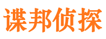 屏山市场调查